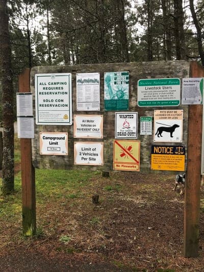 Wild Mare Horse Camp