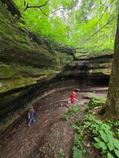 Wildcat Mountain State Park