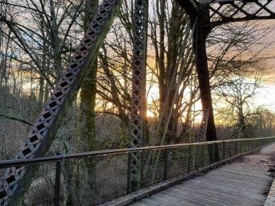 Willapa Hills State Park Trail
