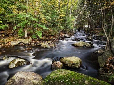 Willard Brook State Forest