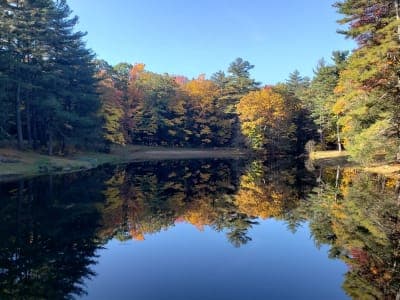 Willard Brook State Forest