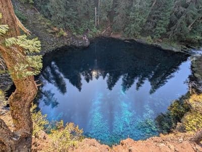 Willamette National Forest