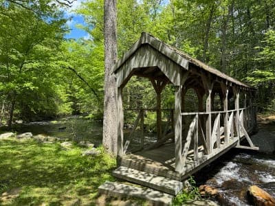 Willard Brook State Forest