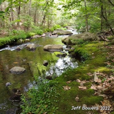 Willard Brook State Forest