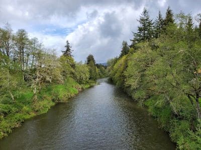 Willapa Hills State Park Trail