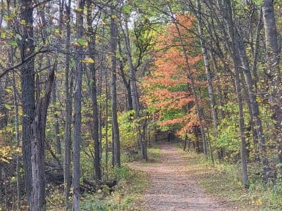 Wild River State Park