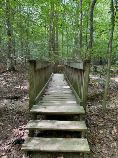 William B. Umstead State Park – Crabtree Creek Access