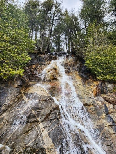 Willoughby State Forest