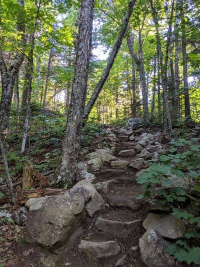 Willoughby State Forest