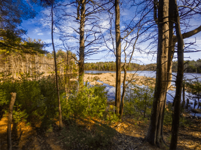 Willowdale State Forest