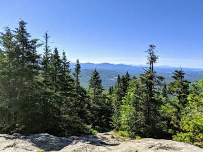 Willoughby State Forest