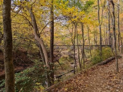 William B. Umstead State Park – Crabtree Creek Access