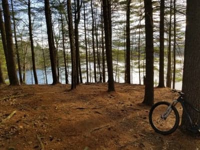 Willowdale State Forest