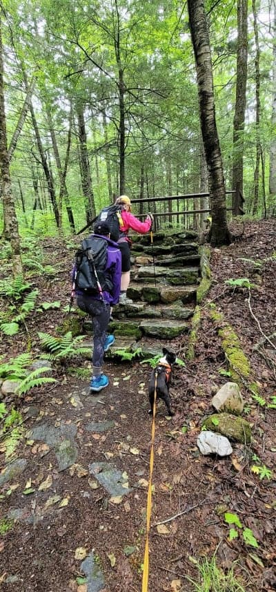 Windsor State Forest