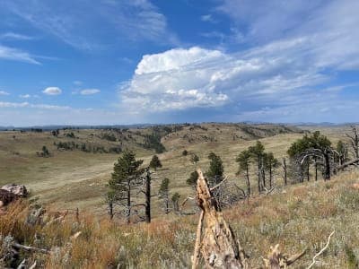 Wind Cave National Park