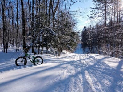 Winona State Forest