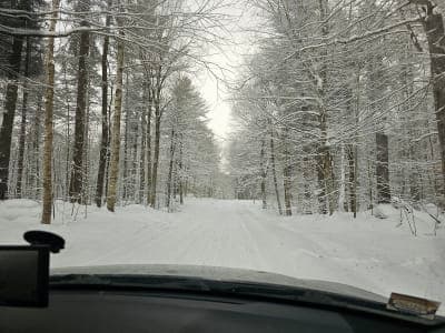 Winona State Forest