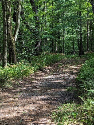 Winona State Forest