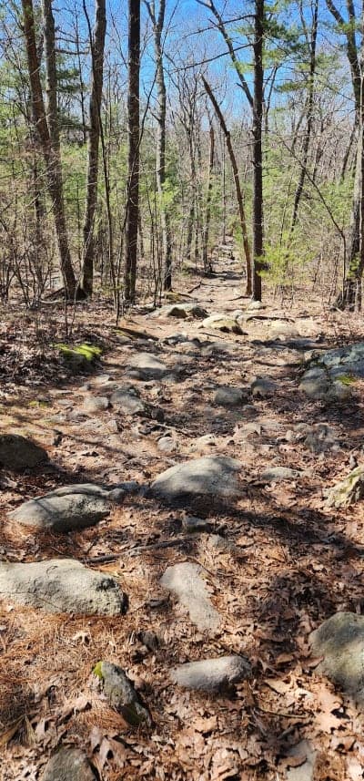 Wolf Hill Forest Preserve