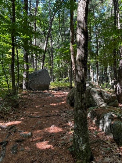 Wolf Hill Forest Preserve