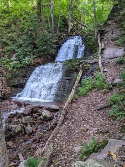 Worthington State Forest
