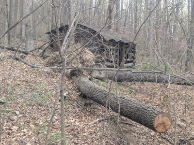 Woodmont Natural Resources Management Area