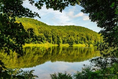 Worthington State Forest