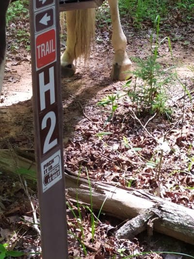 Woods Ferry Horse Trail