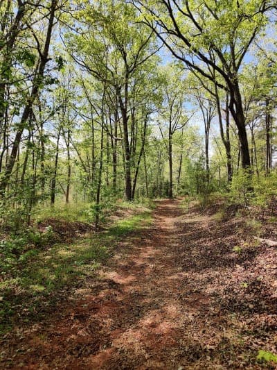 Woods Ferry Horse Trail