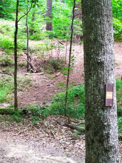 Woods Ferry Horse Trail