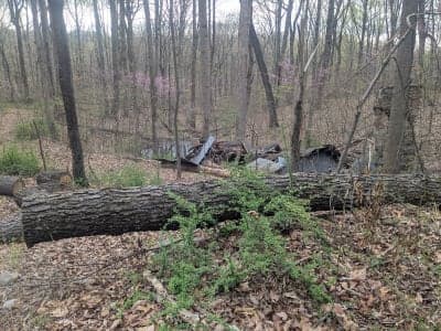 Woodmont Natural Resources Management Area
