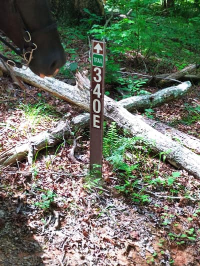 Woods Ferry Horse Trail