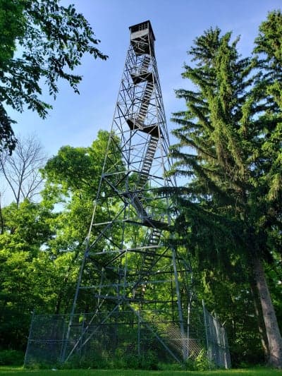 Yellow River State Forest
