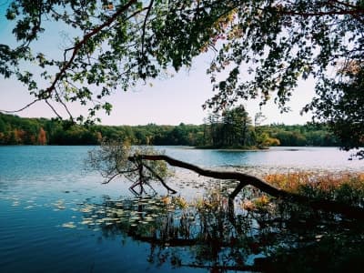 Yankee Springs Recreation Area