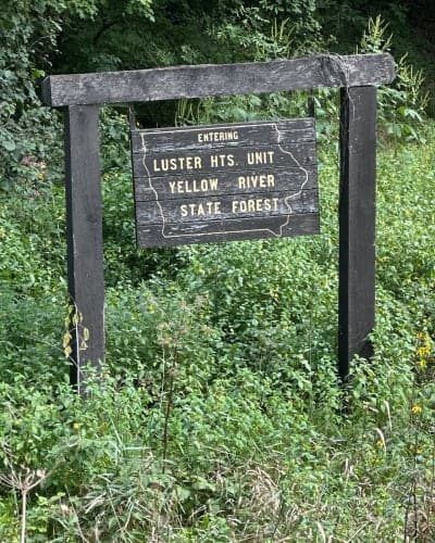 Yellow River State Forest