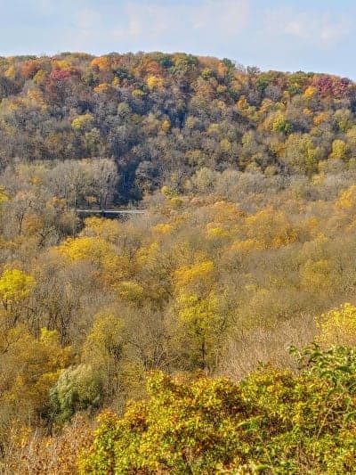 Yellow River State Forest