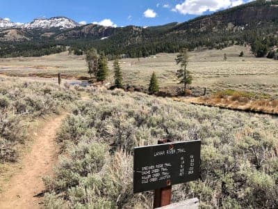 Yellowstone National Park – Lamar River Stock Trailhead