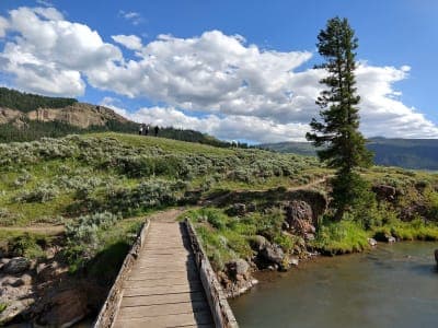 Yellowstone National Park – Lamar River Stock Trailhead