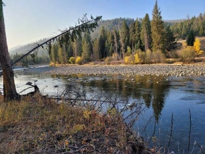 Yellowstone National Park – Lamar River Stock Trailhead