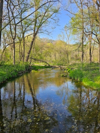 Yellow River State Forest