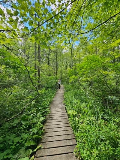 Yankee Springs Recreation Area