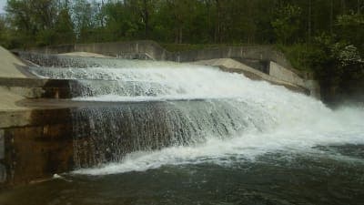 Yellowwood State Forest