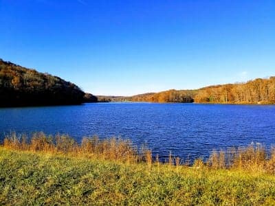 Yellowwood State Forest