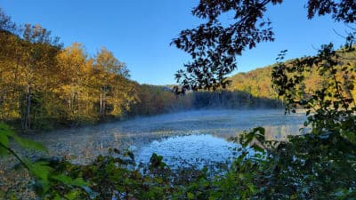 Zaleski State Forest