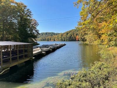 Yellowwood State Forest