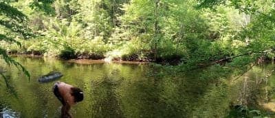 Young Branch Campground & Little Citico Horse Trails