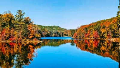 Zaleski State Forest