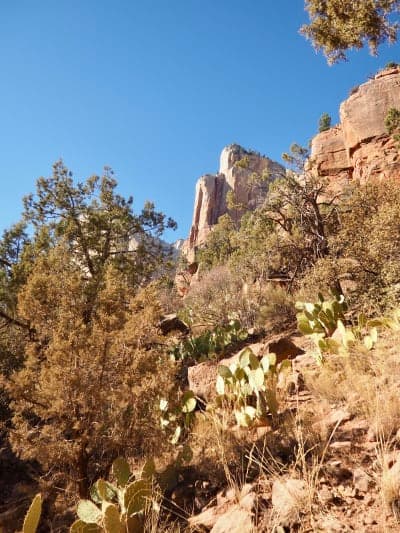 Zion National Park / Sand Bench & Wilderness Stock Routes