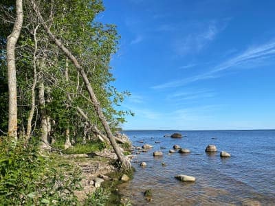 Zippel Bay State Park