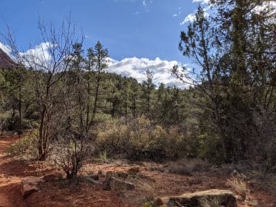 Zion National Park / Sand Bench & Wilderness Stock Routes